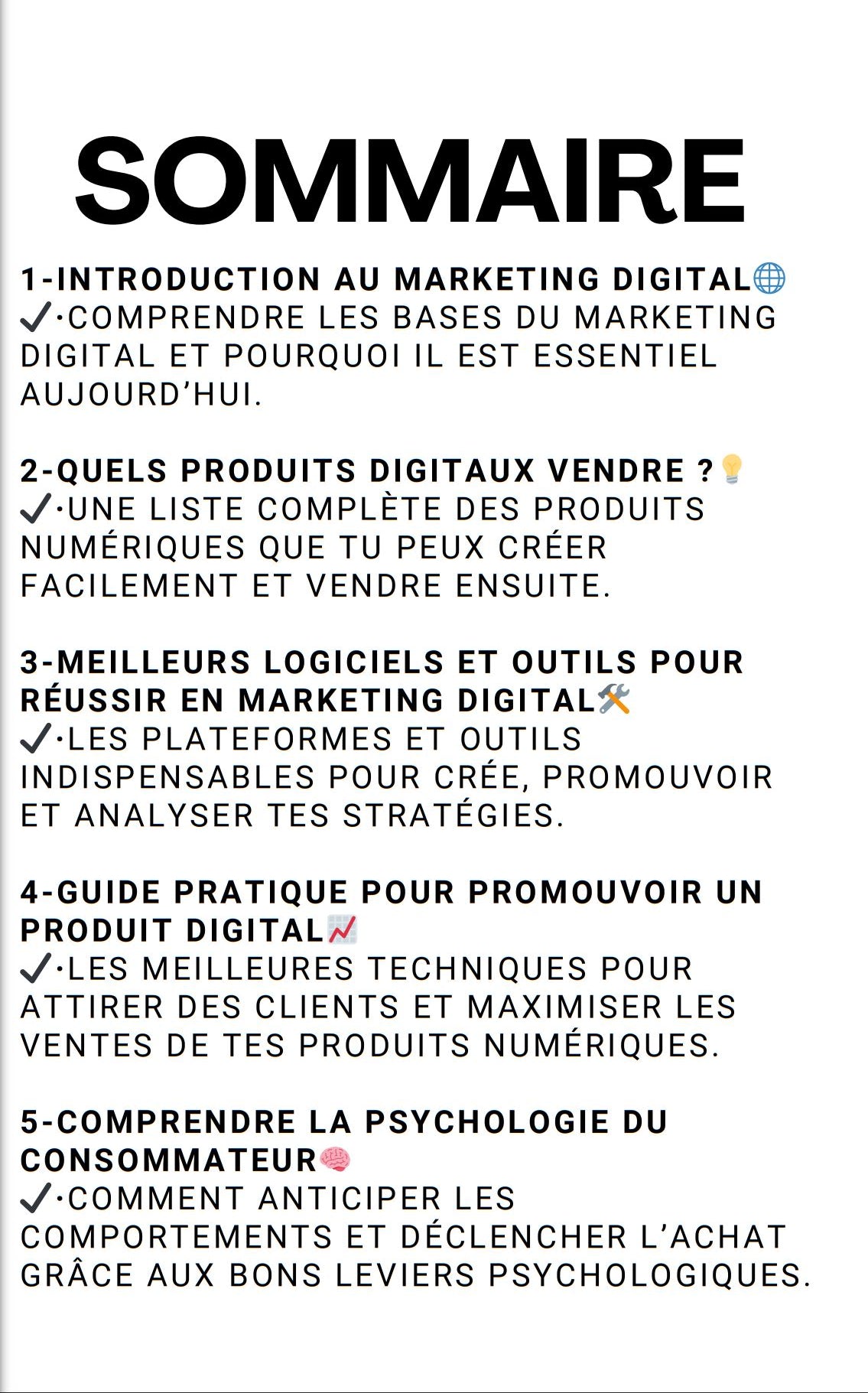 đ RĂ©ussir en Dropshipping Digital