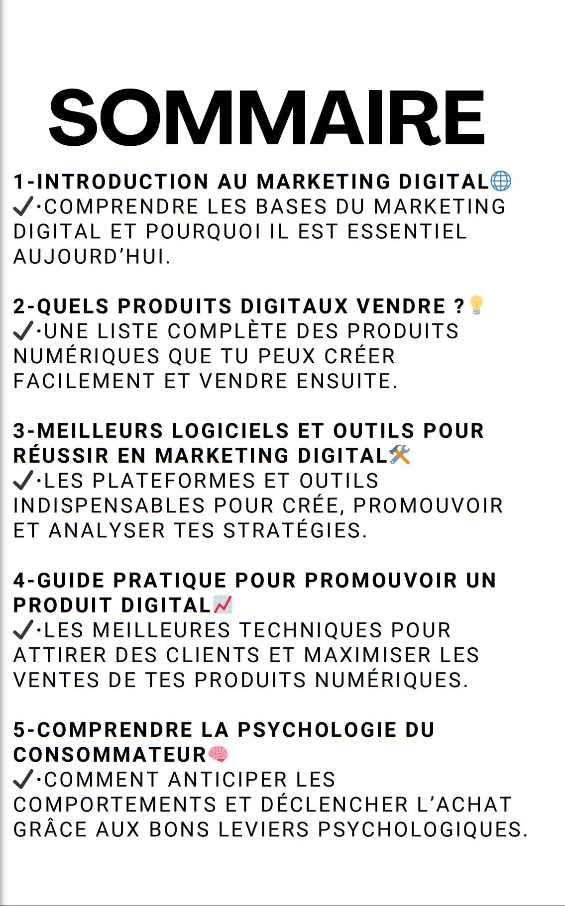 📈 Réussir en Dropshipping Digital